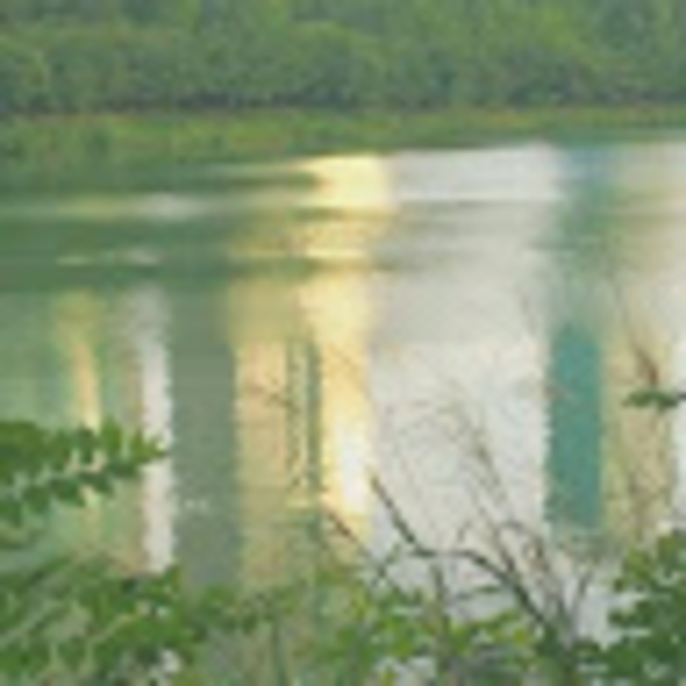 Meet your Posher, Kendal